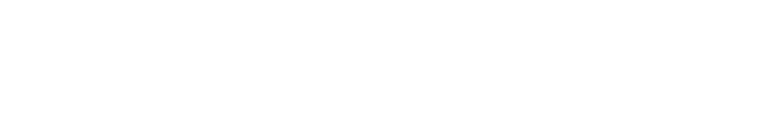 noble nutrition logo