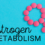 Estrogen Metabolism: Understand It In Your 40’s for Better Health